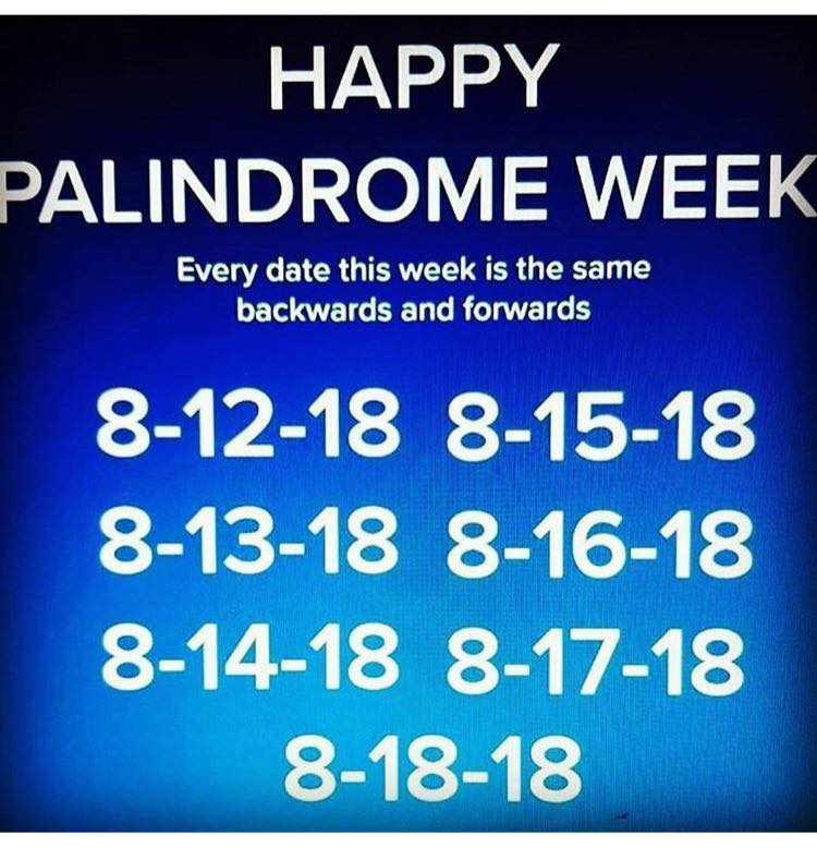 It's Palindrome Week Here at Kallisti Publishing