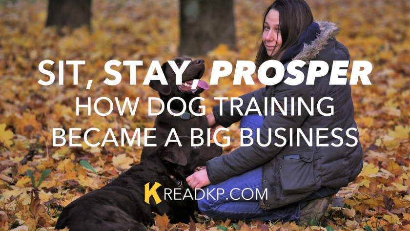 Sit, Stay, Prosper: How Dog Training Became a Big Business