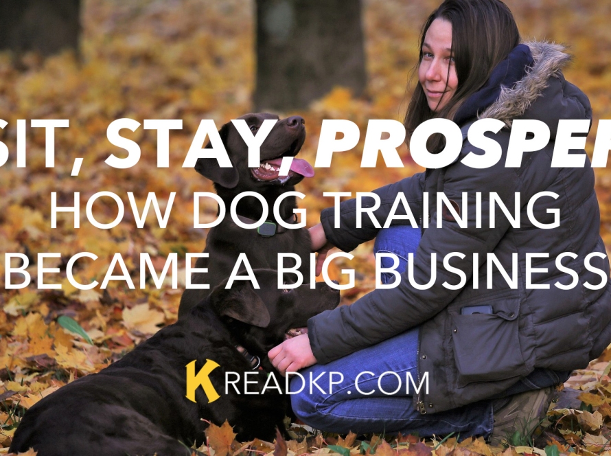 Sit, Stay, Prosper: How Dog Training Became a Big Business